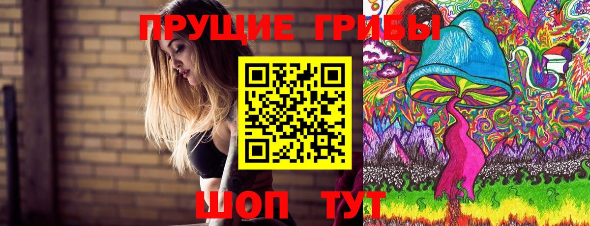 Вичуга  Псилоцибиновые грибы прущие грибы  Вход с VPN 